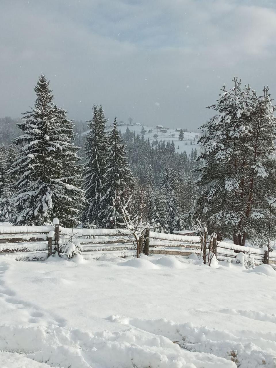 Котеджі Зоряне Небо Bukovel Exterior photo