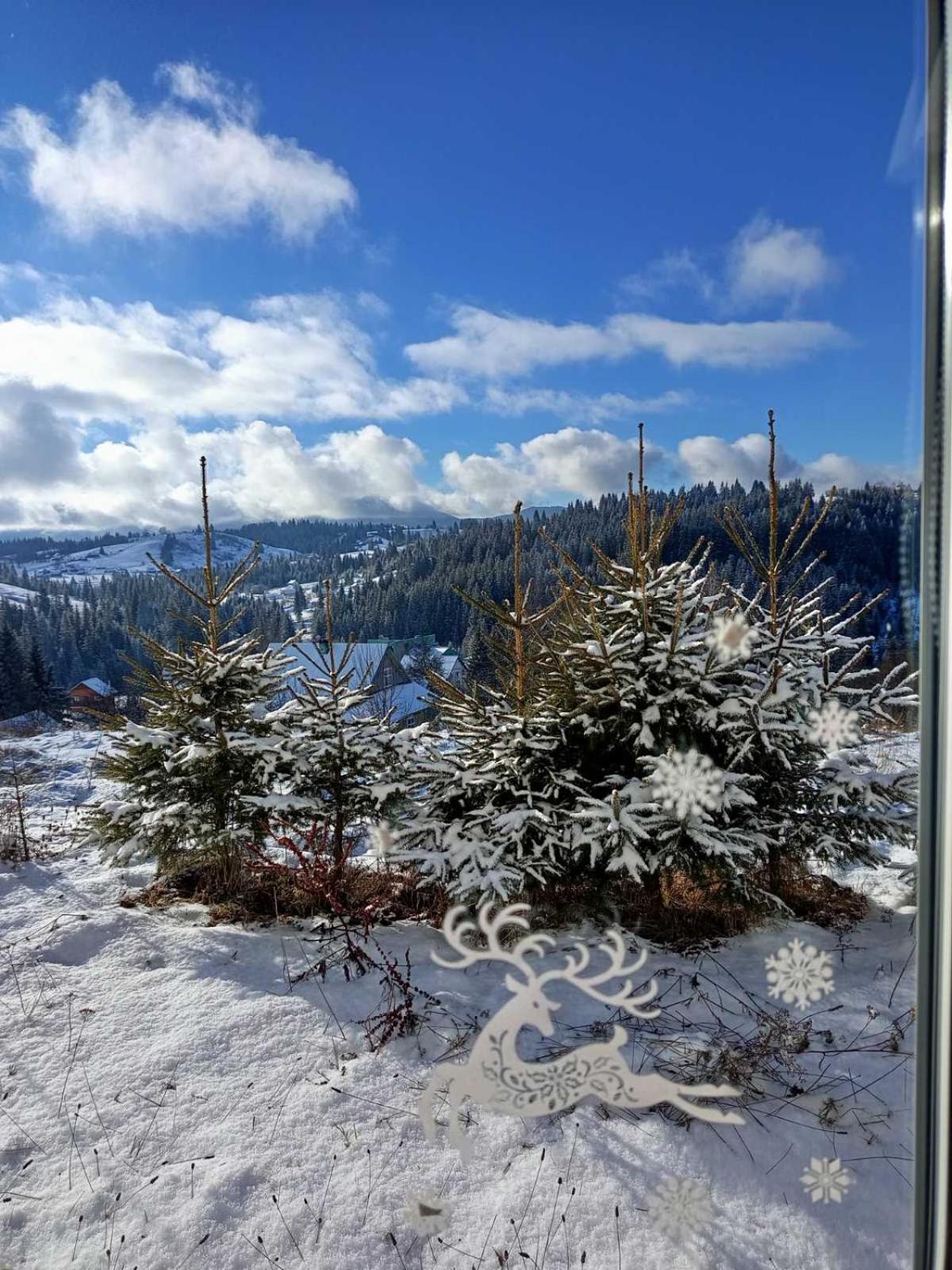 Котеджі Зоряне Небо Bukovel Exterior photo